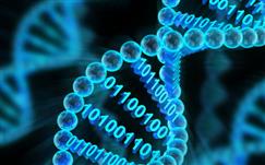 محققان از هوش مصنوعی برای شناخت ژنوم انسان کمک گرفتند